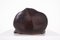 Okimono Tortoise, 1890s-1910s 8