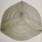 Large French Art Deco Ceiling Light from Noverdy, 1920s 2