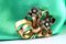 Gold and Silver Brooch with Diamond Chips 1