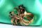 Gold and Silver Brooch with Diamond Chips 5