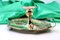 Paddel aus vergoldetem Silber mit erhabenen Blumenmotiven 5