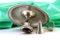 Guilloche Silber Paddel 4