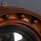 Antique Regency Mahogany Framed Convex Mirror, 19th Century 5