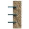 Glossy Lacquered Shelf by Dolomitisch 1