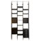 Ebonized Wood Bookcase in the style of Albini by Franco Albini, 1960s, Image 1