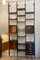 Ebonized Wood Bookcase in the style of Albini by Franco Albini, 1960s, Image 8