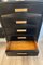 Ebonized Wood Bookcase in the style of Albini by Franco Albini, 1960s, Image 4