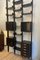 Ebonized Wood Bookcase in the style of Albini by Franco Albini, 1960s, Image 12
