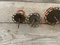 Art Deco Furniture Handle Set, Set of 5 9