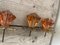 Art Deco Furniture Handle Set, Set of 5 7