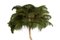 Small Vintage Gilt Palm Tree Lamp with Feathers 4