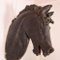 Antique Spanish Horses Head, 1800s 6