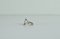 Sterling Silver Ring with Enamel by Ellen Malmer, 1970s 8