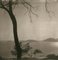 Ugne Pouwell, Lerici 255, 2025, Photograph 1