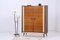 Vintage High-Gloss Linen Cabinet, 1960s 1
