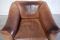 Vintage DS-47 Cognac Neck Leather Armchair from de Sede 10