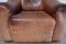 Vintage DS-47 Cognac Neck Leather Armchair from de Sede 13