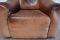 Vintage DS-47 Cognac Neck Leather Armchair from de Sede, Image 13