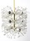 Dandelion Sputnik Chandelier by Emil Stejnar, 1950s 1