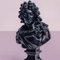 Guy Sargent, Louis XIV Pink, Archival Pigment Print 5