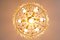 Vintage Teardrop Crystal Chandelier from Palwa 5