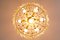 Vintage Teardrop Crystal Chandelier from Palwa, Image 5