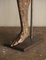 19th Century Antique Papier-Mâché Anatomical Leg by Dr. Auzoux, France 20