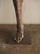 19th Century Antique Papier-Mâché Anatomical Leg by Dr. Auzoux, France 6