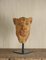 Carine Laeveren, Lion Head Sculpture, 2000s, Plaster 3