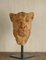 Carine Laeveren, Lion Head Sculpture, 2000s, Plaster 5