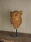Carine Laeveren, Lion Head Sculpture, 2000s, Plaster 7