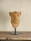 Carine Laeveren, Lion Head Sculpture, 2000s, Plaster 2