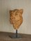 Carine Laeveren, Lion Head Sculpture, 2000s, Plaster 6