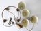 Mid-Century Modern Four-Armed Chandelier, Germany, 1950s 21