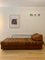 Mid-Century DS 85 Daybed from de Sede, 1960s 21