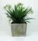 Large Mid-Century Planter from Eternit Schweiz, Image 2