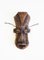 Mid-Century African Mask, 1950s, Image 9