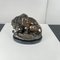 After A. Barye, Lion with Snake, 20th Century, Bronze 12