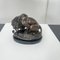 After A. Barye, Lion with Snake, 20th Century, Bronze 13