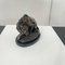 After A. Barye, Lion with Snake, 20th Century, Bronze 14