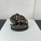 After A. Barye, Lion with Snake, 20th Century, Bronze 6