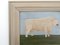 Matt Rix, Naive Style Prize British White Bull, Oil on Board, Framed 7