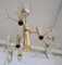 Lámpara de araña Mid-Century de Gaetano Sciolari, años 60, Imagen 6