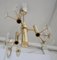 Mid-Century Chandelier by Gaetano Sciolari, 1960s, Image 6