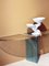 Glass Console Table by Luigi Massoni for Gallotti & Radice, 1980s, Image 6