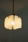 Dürnstein Pendant Light from J.T. Kalmar, 1960s 4