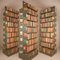 Large Congress Bookcase by Lips Vago, 1960s 7