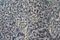 Tavolo Cube Haze grigio dalla collezione Oasis di LLOT LLOV, Immagine 7