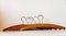 Vintage Danish Teak Coat Hangers, 1960s, Set of 6 1