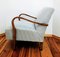Vintage Czech Armchair, 1960s 10